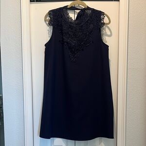 Chic Navy Lace Mini Dress